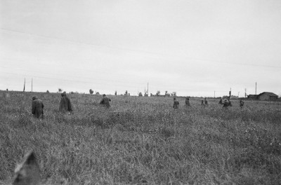 Alkuperäisen kuvatekstin mukaan nämä kuvat esittävät miinoja polkevia venäläisiä sotavankeja Vuosalmella 1941. Kuvaaja vänrikki R. Ruponen.