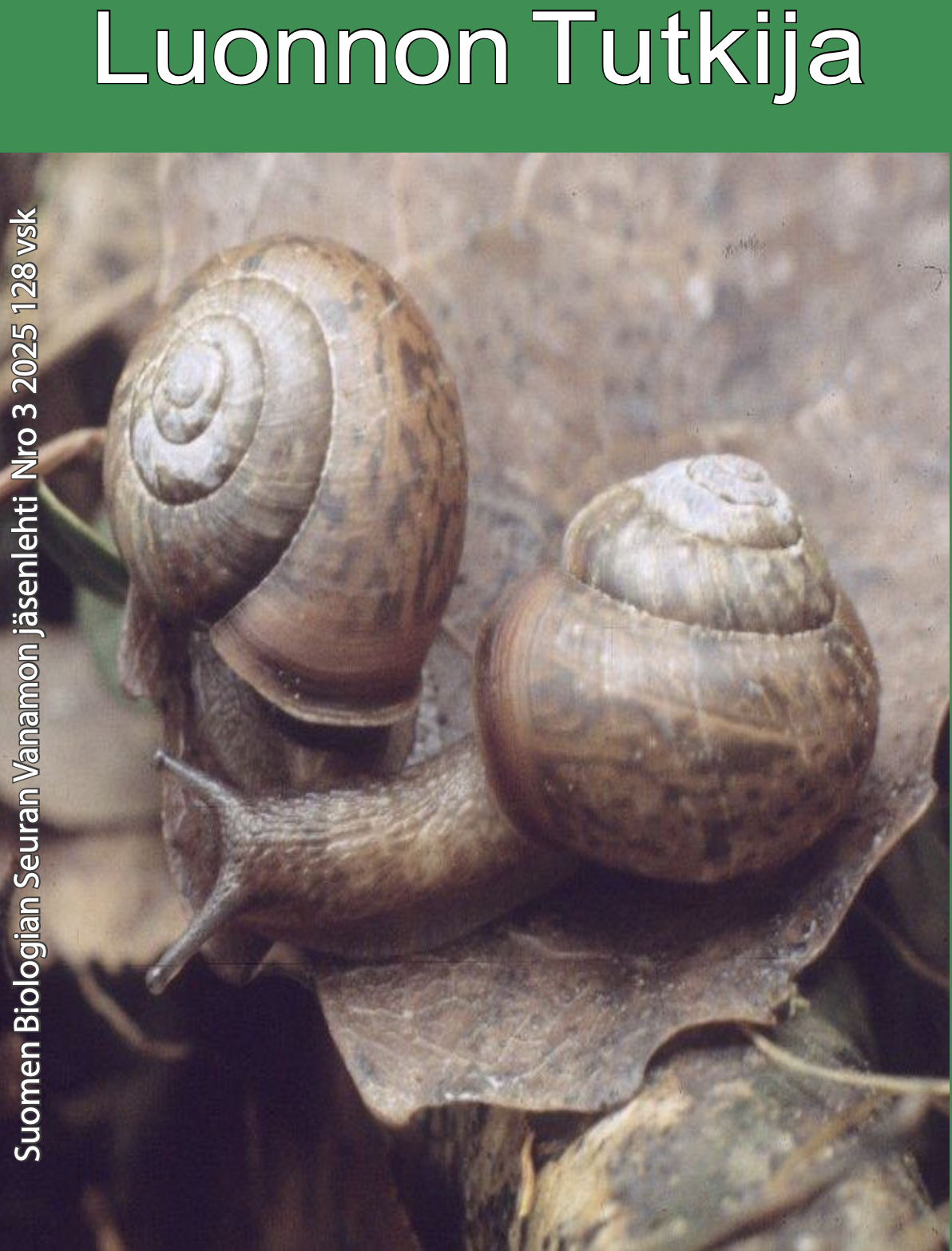 					Näytä Vol 128 Nro 3 (2025): Luonnon Tutkija 3/2025
				